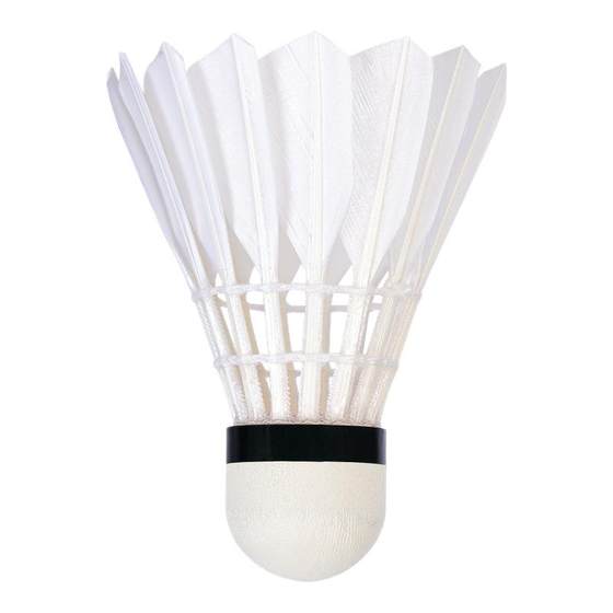 Li Ning badminton durable goose feather g100s super hit-resistant g300s windproof special professional training ball g200
Li Ning badminton durable goose feather g100s super hit-resistant g300s windproof special professional training ball g200