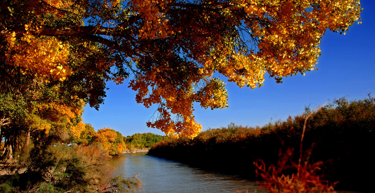 甘肃疏勒河——疏勒河畔春潮涌 以水为墨谱华章