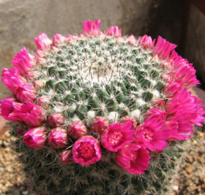 防辐射的眼镜那个好