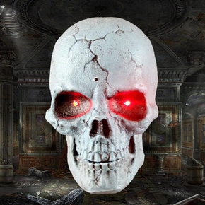 骷髅头潮流休闲卫衣套装女