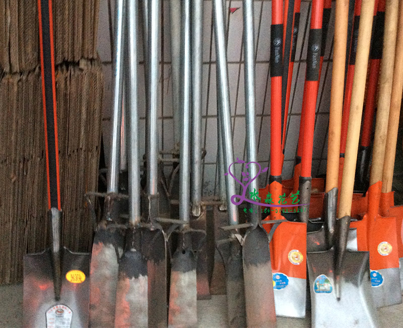 大中小号锰钢挖树锹/铁铲/农用工具/园林工具/铁锹花锹挖花挖大树