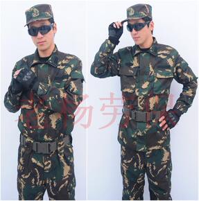 迷彩服是根据什么动物发明的