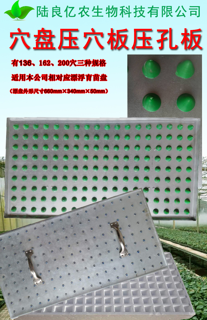 育苗穴盘打孔器穴盘播种专用压穴板压孔板压坑板基质压穴播种工具