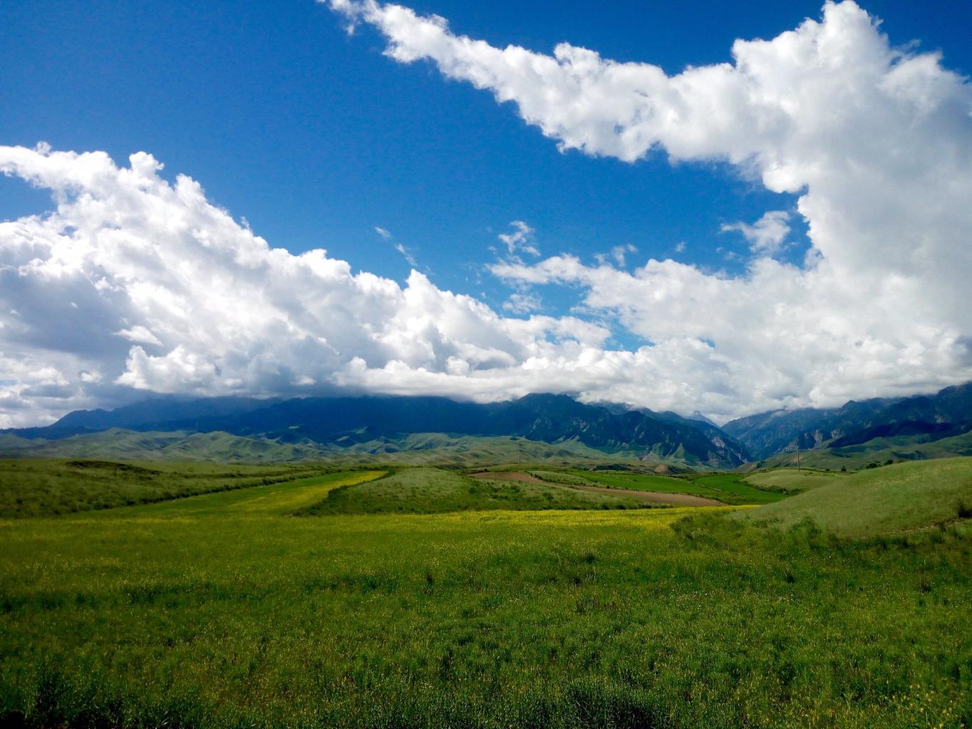 湾旅游风景区最新实时天气,塔城鹿角湾旅游风景区旅游指数/交通指数