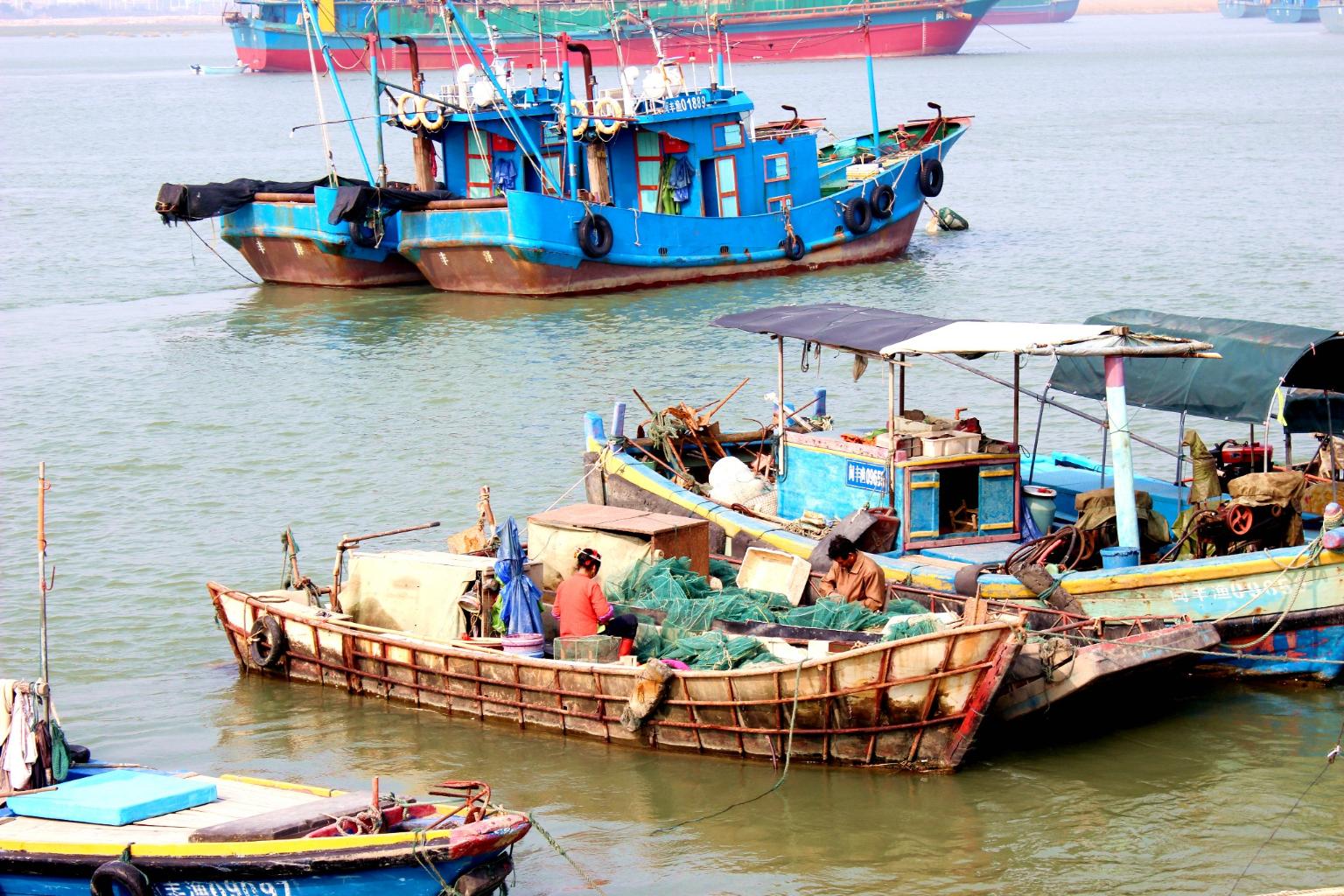 蟳埔村景区天气预报
