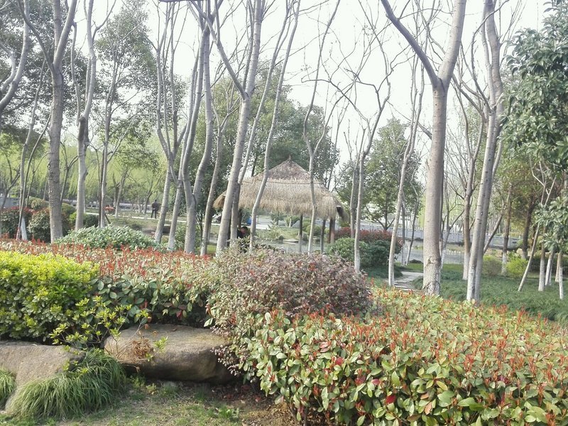 石塘公园景区天气预报