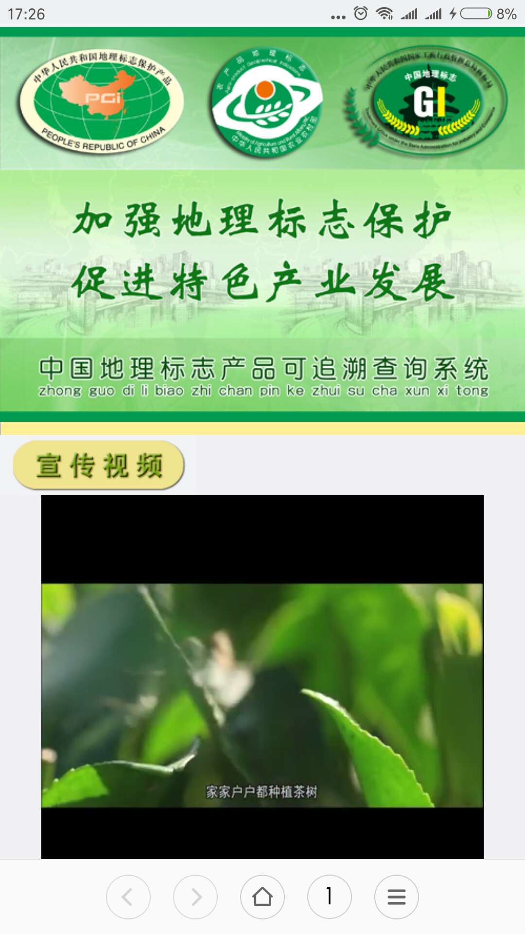 一次品尝五款好白茶!怎么样,当生日礼物好不好呢,第4张 一次品尝五款好白茶!怎么样,当生日礼物好不好呢,第4张