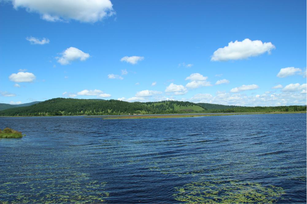 杜鹃湖景区天气预报