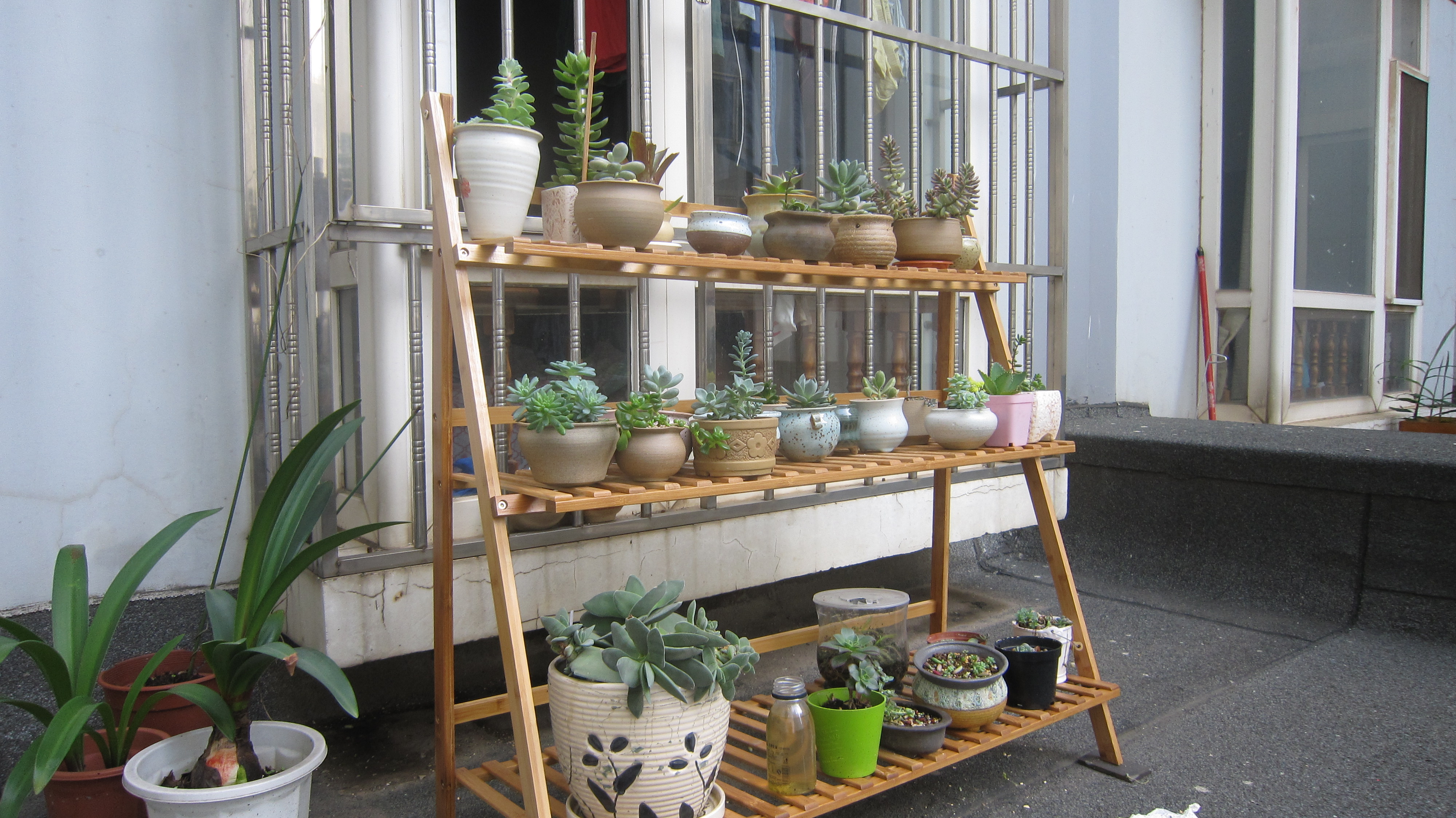 室内实木花架地面阳台花架