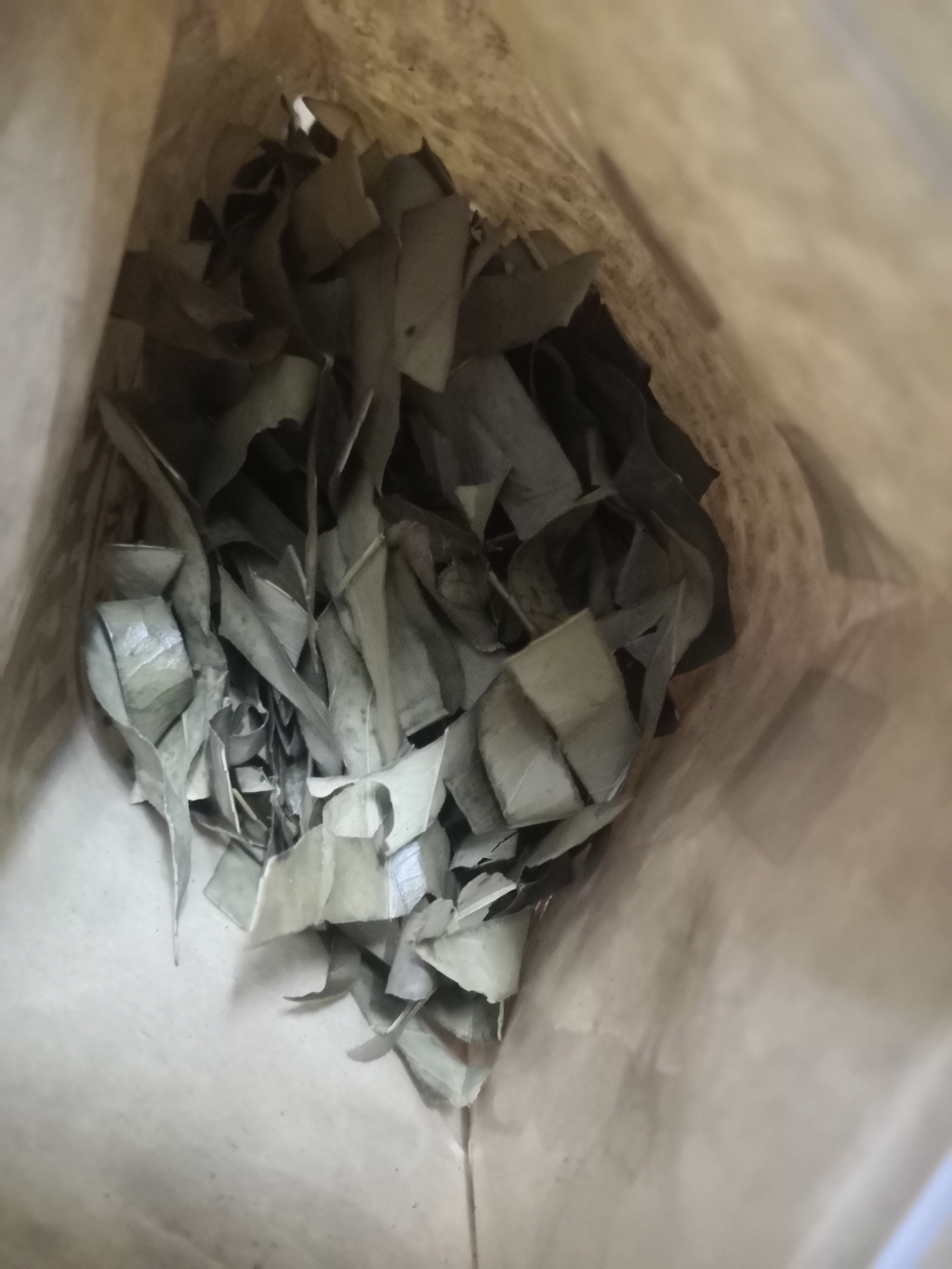 海南清热苦丁茶为什么那么贵怎么样值得买吗,用过后才明白真的值,第5张 海南清热苦丁茶为什么那么贵怎么样值得买吗,用过后才明白真的值,第5张