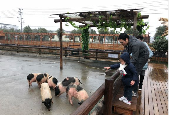 华腾猪舍里庄园