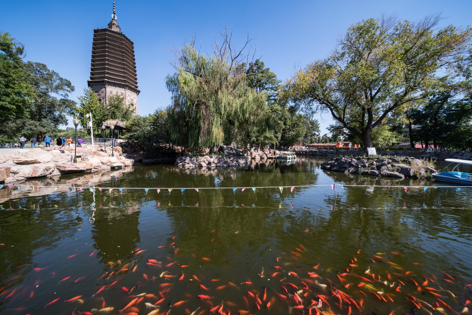 【辽阳广佑寺天气预报】最新实时一周天气,辽阳旅游指数/交通指数,24