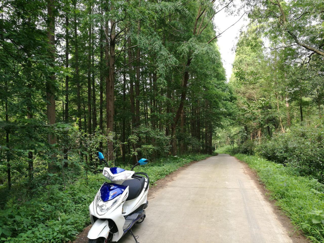 七里山森林公园