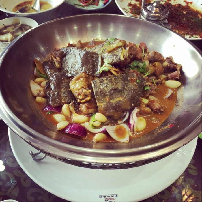 目的地>聊城>金涛小海鲜(茌平店)> 9510208 400-1688-688消费者热线