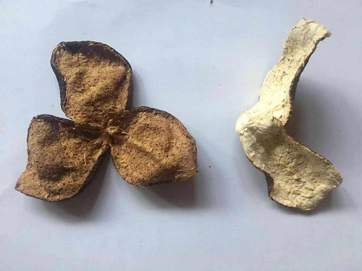 正宗新会陈皮试用好用不可以每天用吗怎么样,使用体验,第8张 正宗新会陈皮试用好用不可以每天用吗怎么样,使用体验,第8张