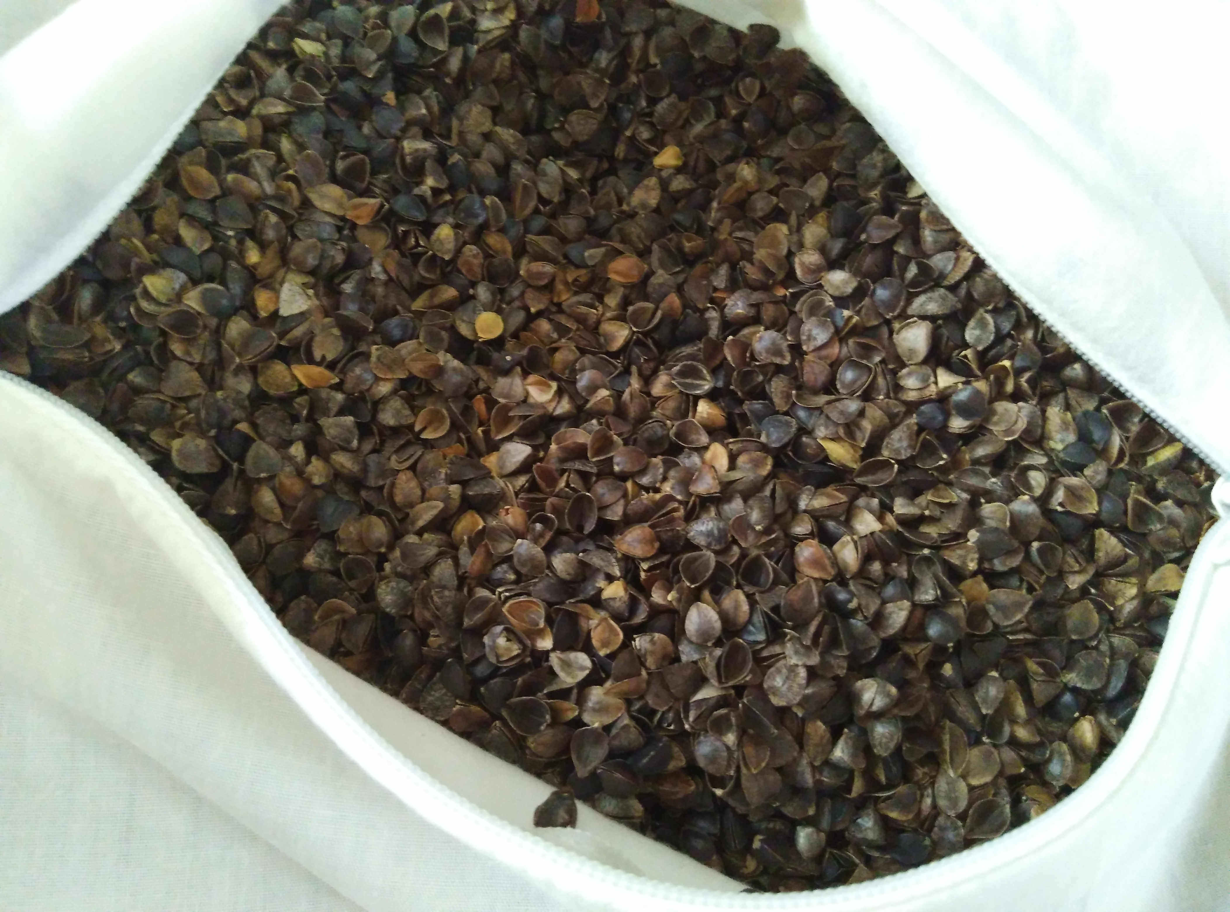 南极人 夏季婴儿宝宝荞麦壳枕头