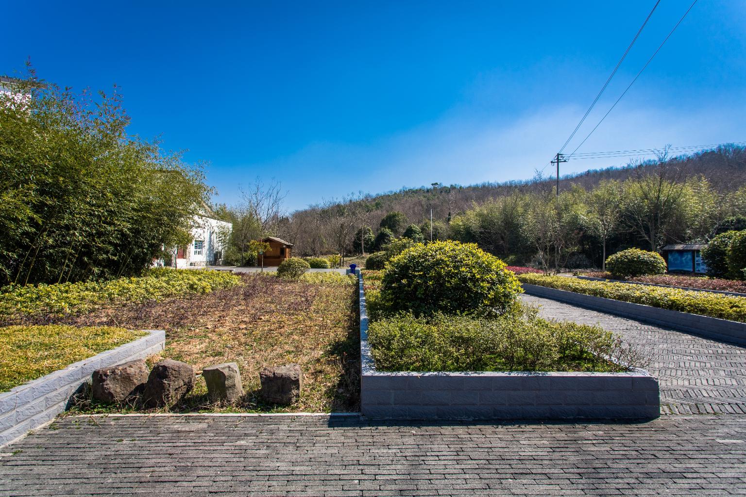 象山湖公园半岛烟岚