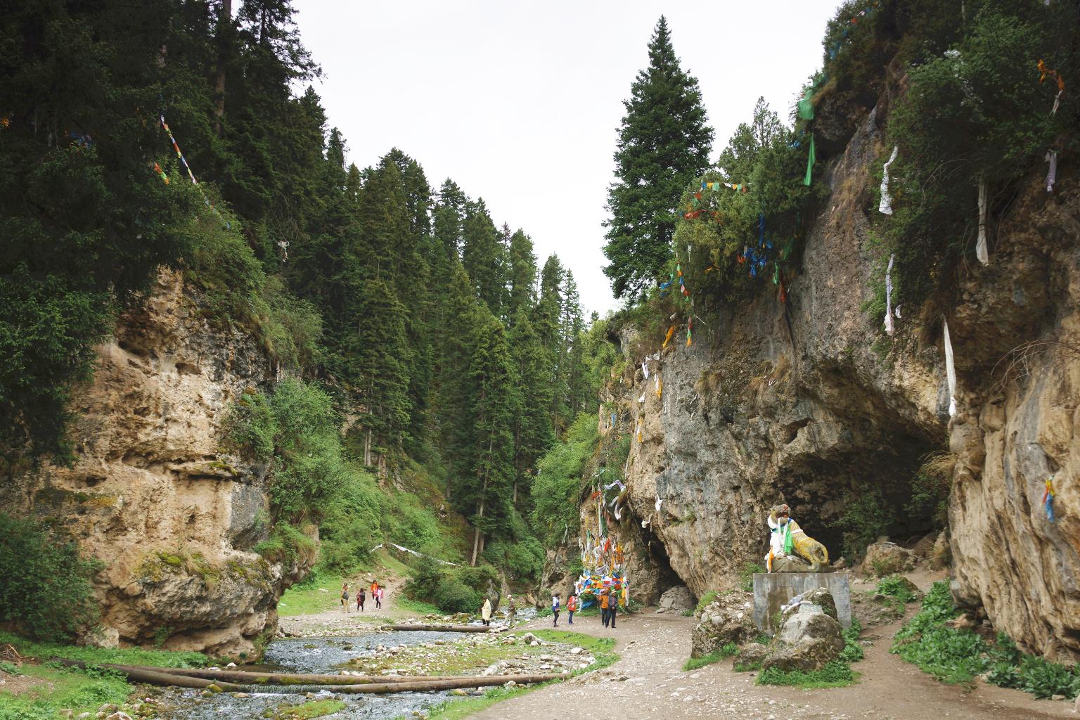 白龙江大峡谷景区天气预报