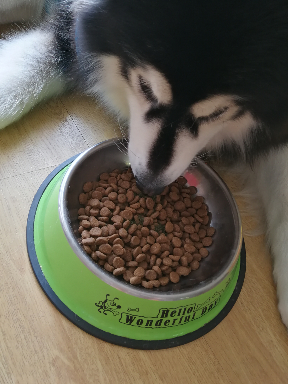 宠物犬猫洁牙粉红狗健口乐好不好用,入手后1个月来评价,第10张 宠物犬猫洁牙粉红狗健口乐好不好用,入手后1个月来评价,第10张