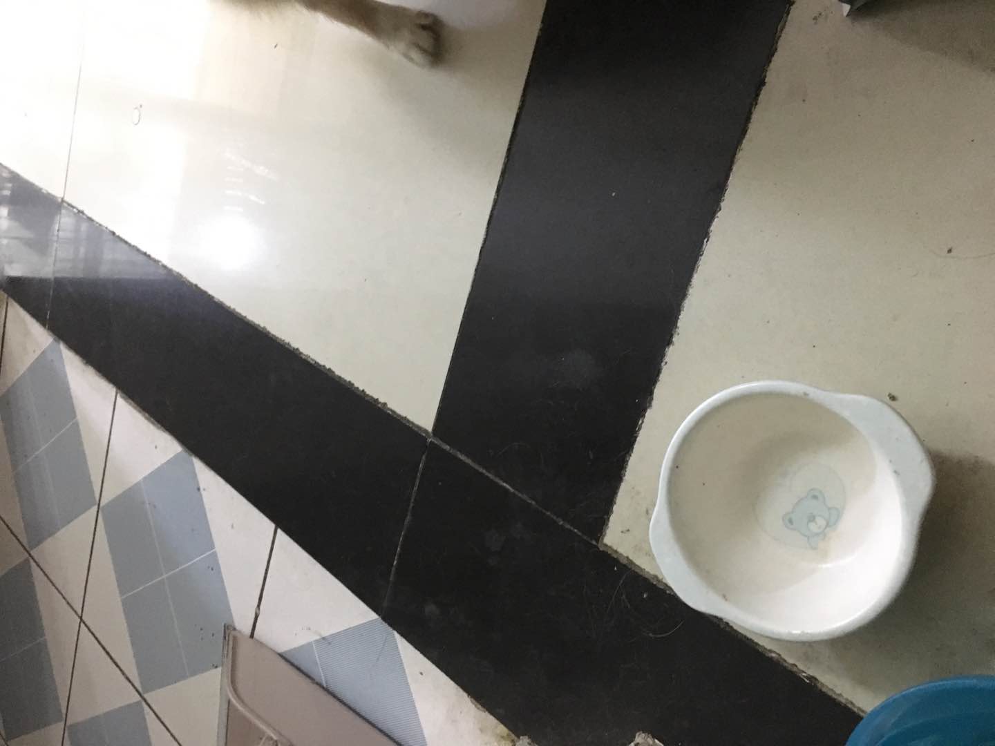 贝佳尼小型犬通用冻干双拼粮4斤怎么样好用吗?适合什么年龄,第6张 贝佳尼小型犬通用冻干双拼粮4斤怎么样好用吗?适合什么年龄,第6张