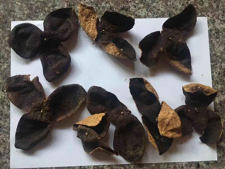 正宗新会陈皮试用好用不可以每天用吗怎么样,使用体验,第6张 正宗新会陈皮试用好用不可以每天用吗怎么样,使用体验,第6张