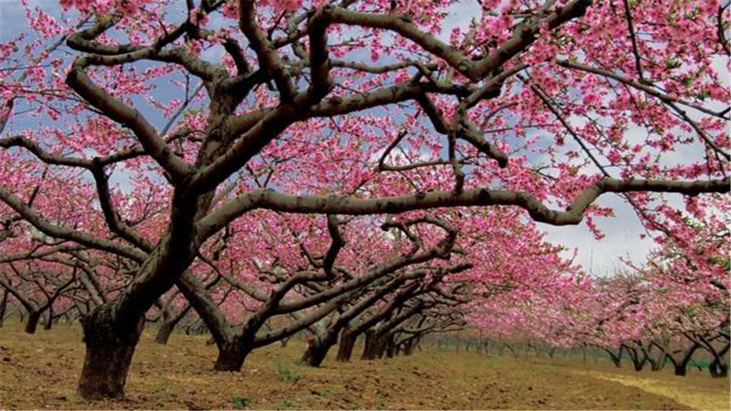 桂阳桃花溪风景区
