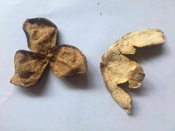 正宗新会陈皮试用好用不可以每天用吗怎么样,使用体验,第10张 正宗新会陈皮试用好用不可以每天用吗怎么样,使用体验,第10张
