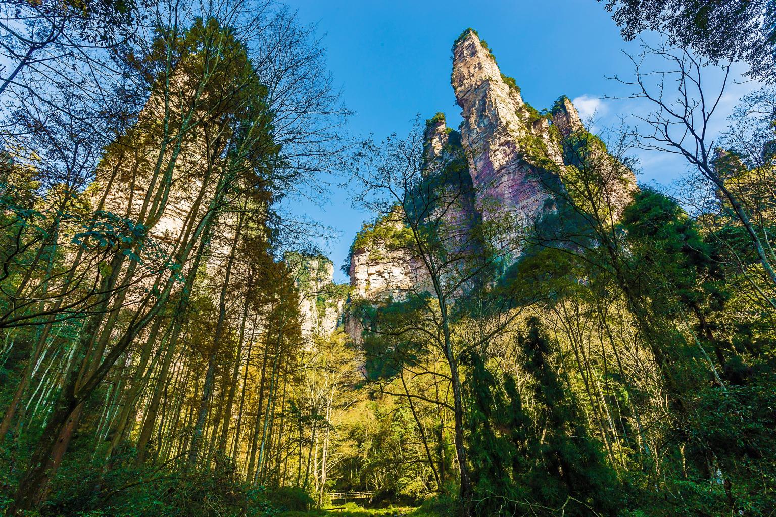 金鞭溪大峡谷景区天气预报