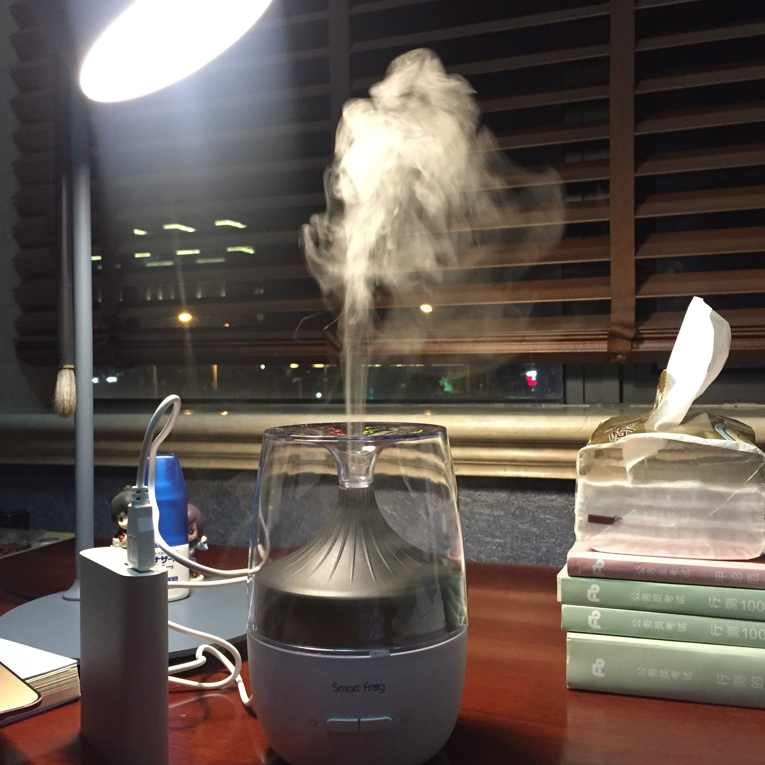 秘境香薰加湿器效果怎么样，真的好用吗？使用两周真实效果_搜券