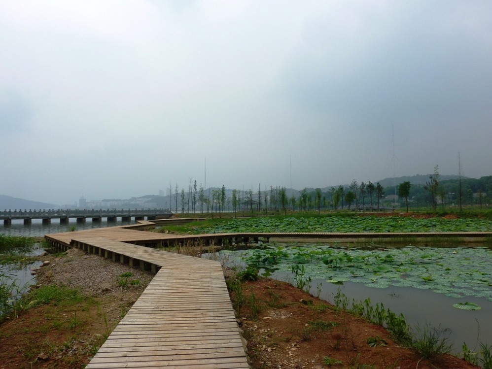 【黄石团城山公园天气预报】最新实时天气,黄石旅游指数/交通指数,24