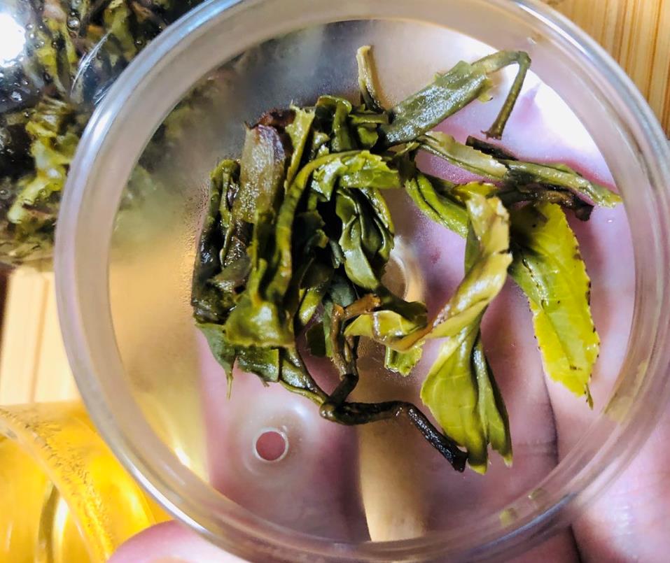 冰岛普洱茶糯伍生茶10饼好不好用，它到底怎么样,第11张