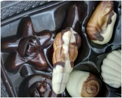 金莎旗舰店 贝壳巧克力225g这个牌子怎么样,好用吗,第6张 金莎旗舰店 贝壳巧克力225g这个牌子怎么样,好用吗,第6张