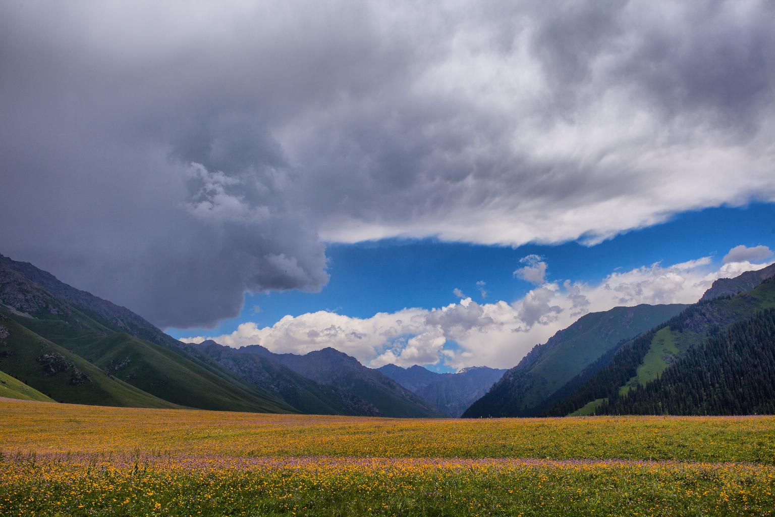 巩乃斯草原景区天气预报