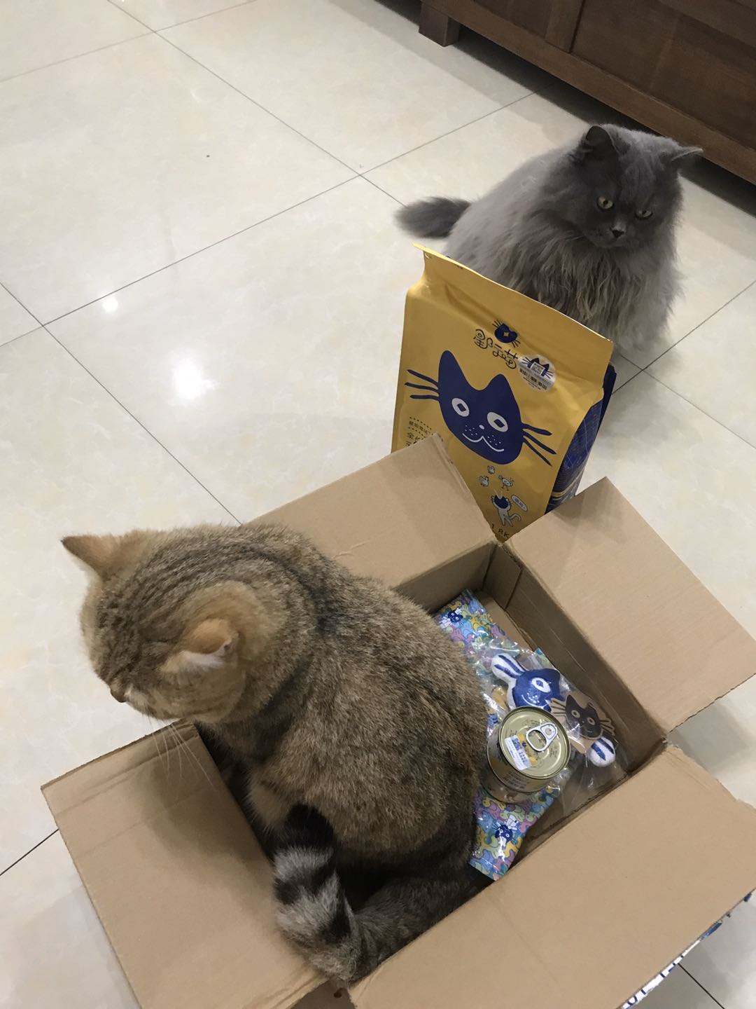 星际喵 猫盒大礼包福袋怎么样,好用吗?真实使用体验,第11张 星际喵 猫盒大礼包福袋怎么样,好用吗?真实使用体验,第11张