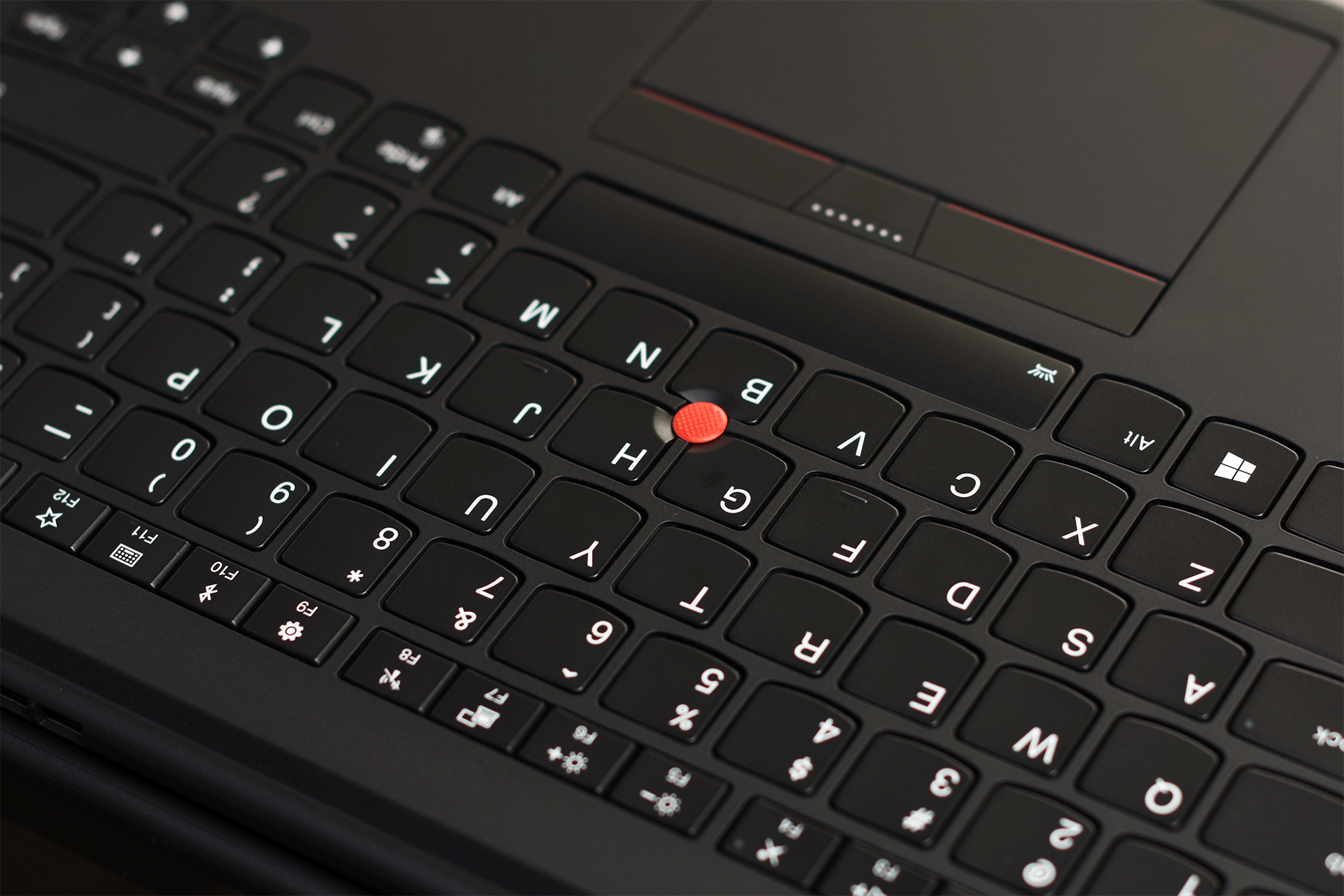 特别这张专门定制壁纸,黑的彻底,色的艳丽.