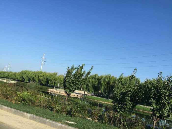 【烟台河滨公园天气预报】烟台河滨公园最新实时天气,烟台河滨公园