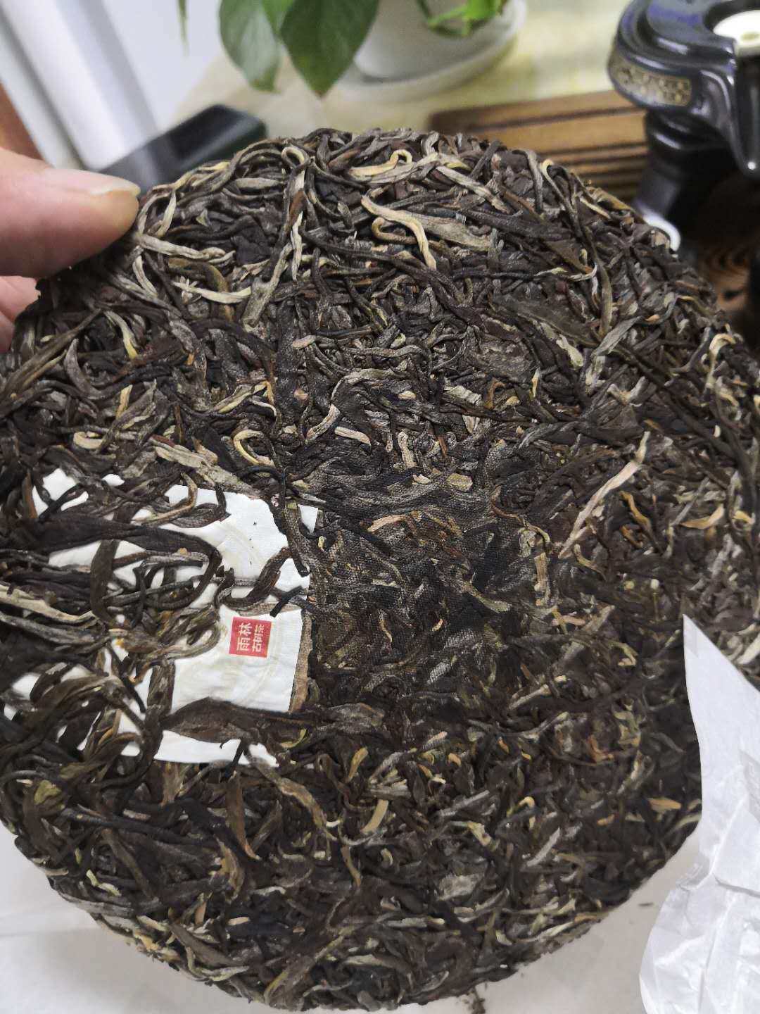 雨林古树普洱生茶藏龙357g怎么样?质量如何,安全吗,真实使用感受