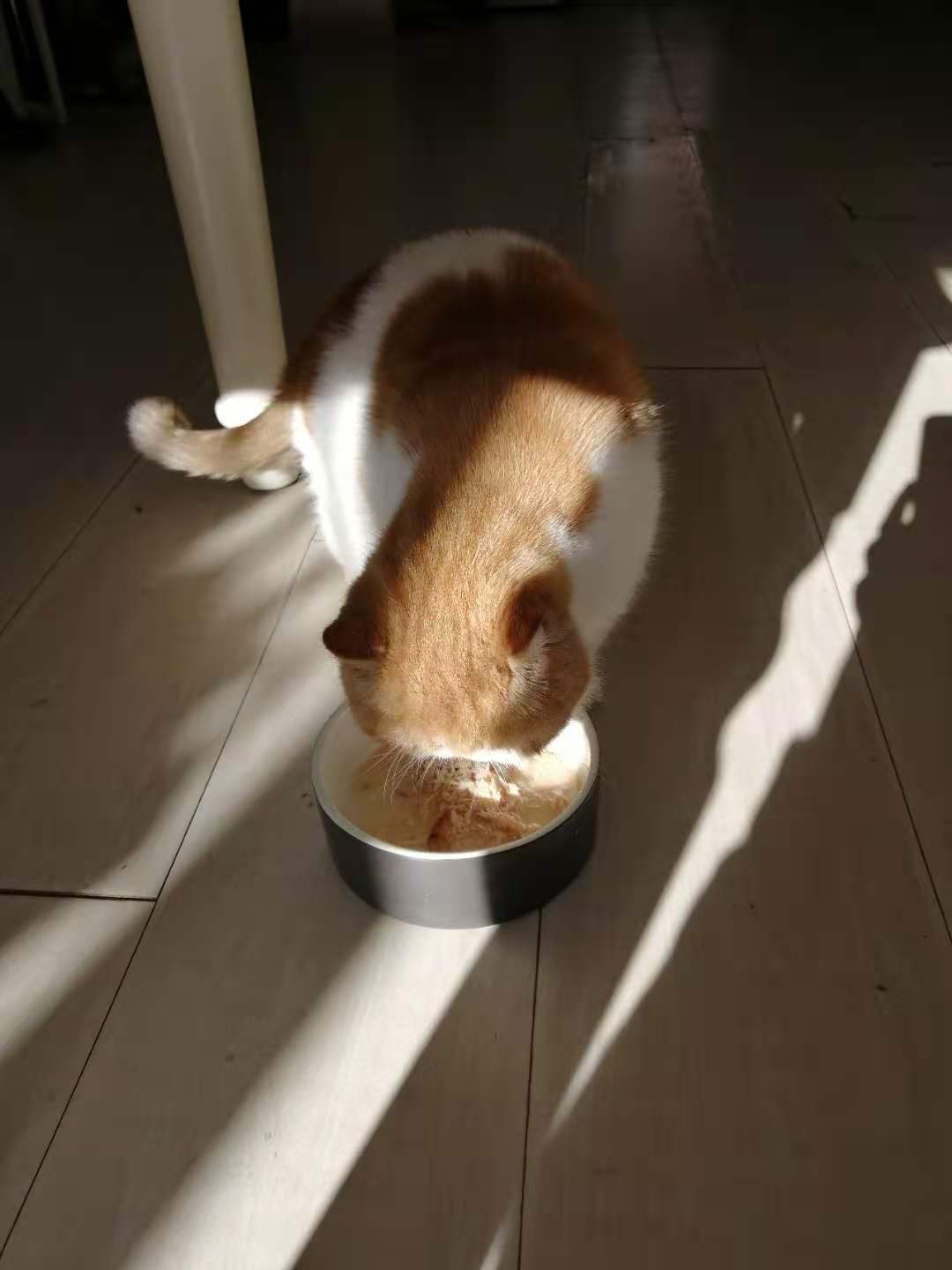 猫罐头收藏加购优先审核怎么样?好用吗?亲自使用分享,第7张 猫罐头收藏加购优先审核怎么样?好用吗?亲自使用分享,第7张