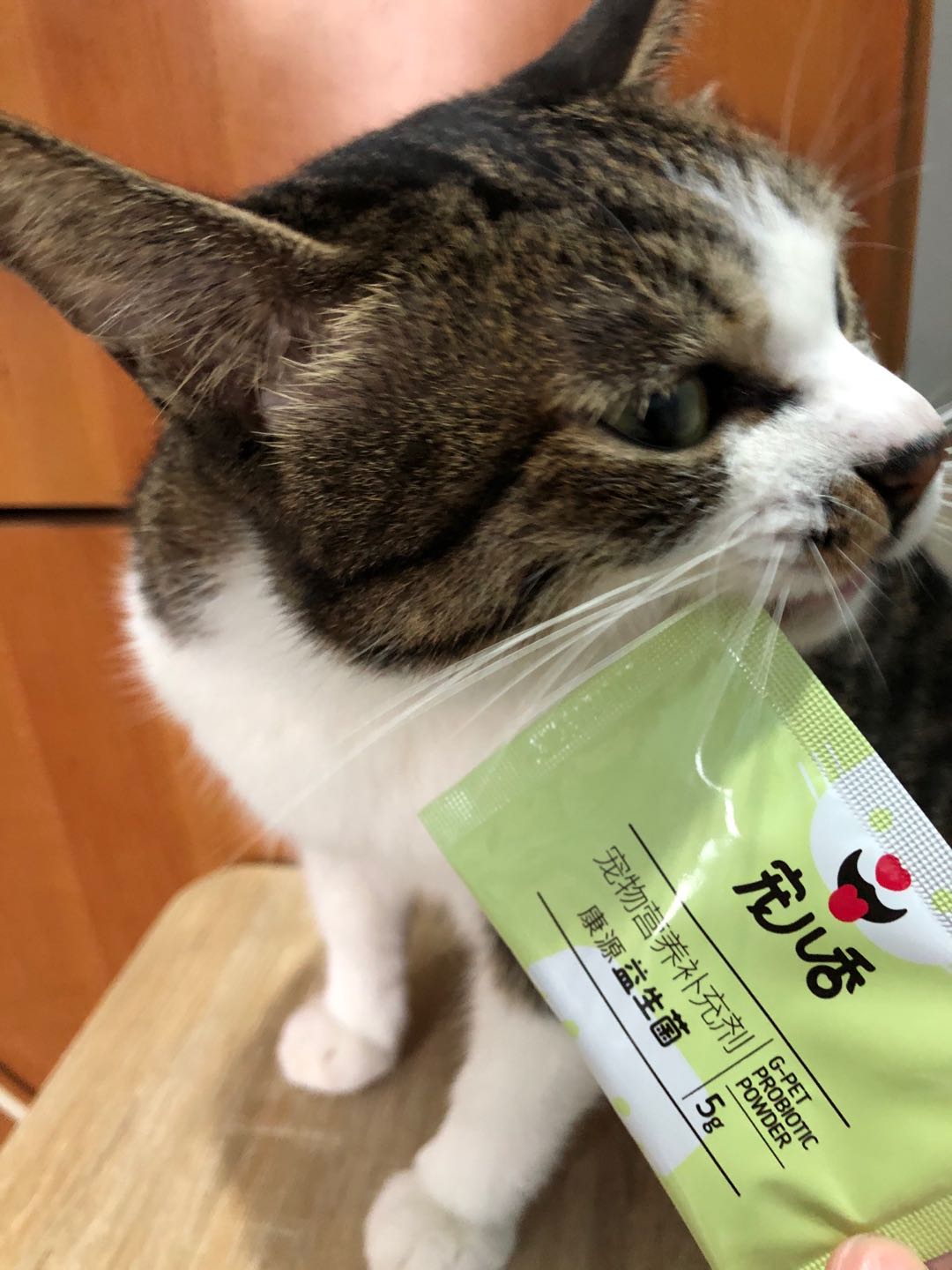 宠物益生菌 猫狗呵护肠胃有用吗?使用效果显示,第5张 宠物益生菌 猫狗呵护肠胃有用吗?使用效果显示,第5张