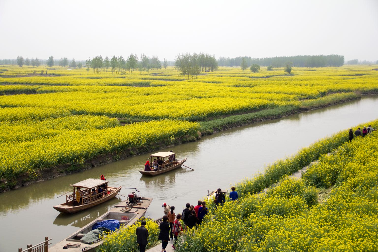 象山湖公园半岛烟岚
