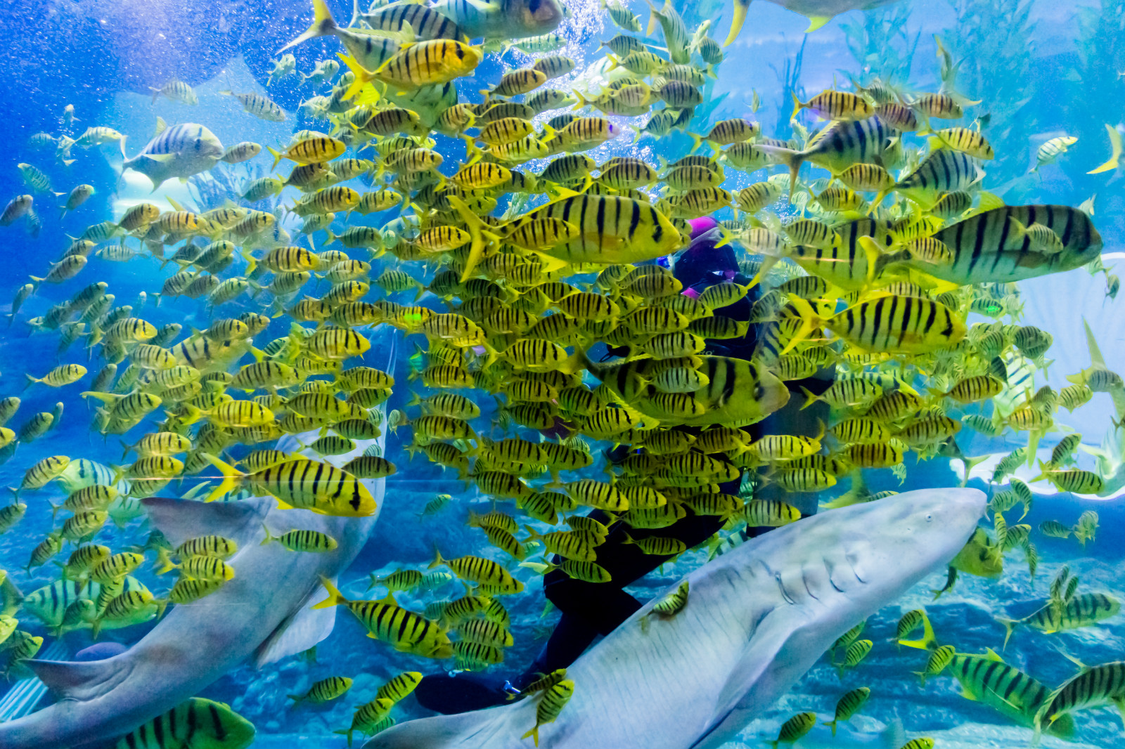 【青岛第二海水浴场天气预报】最新实时一周天气,青岛旅游指数/交通