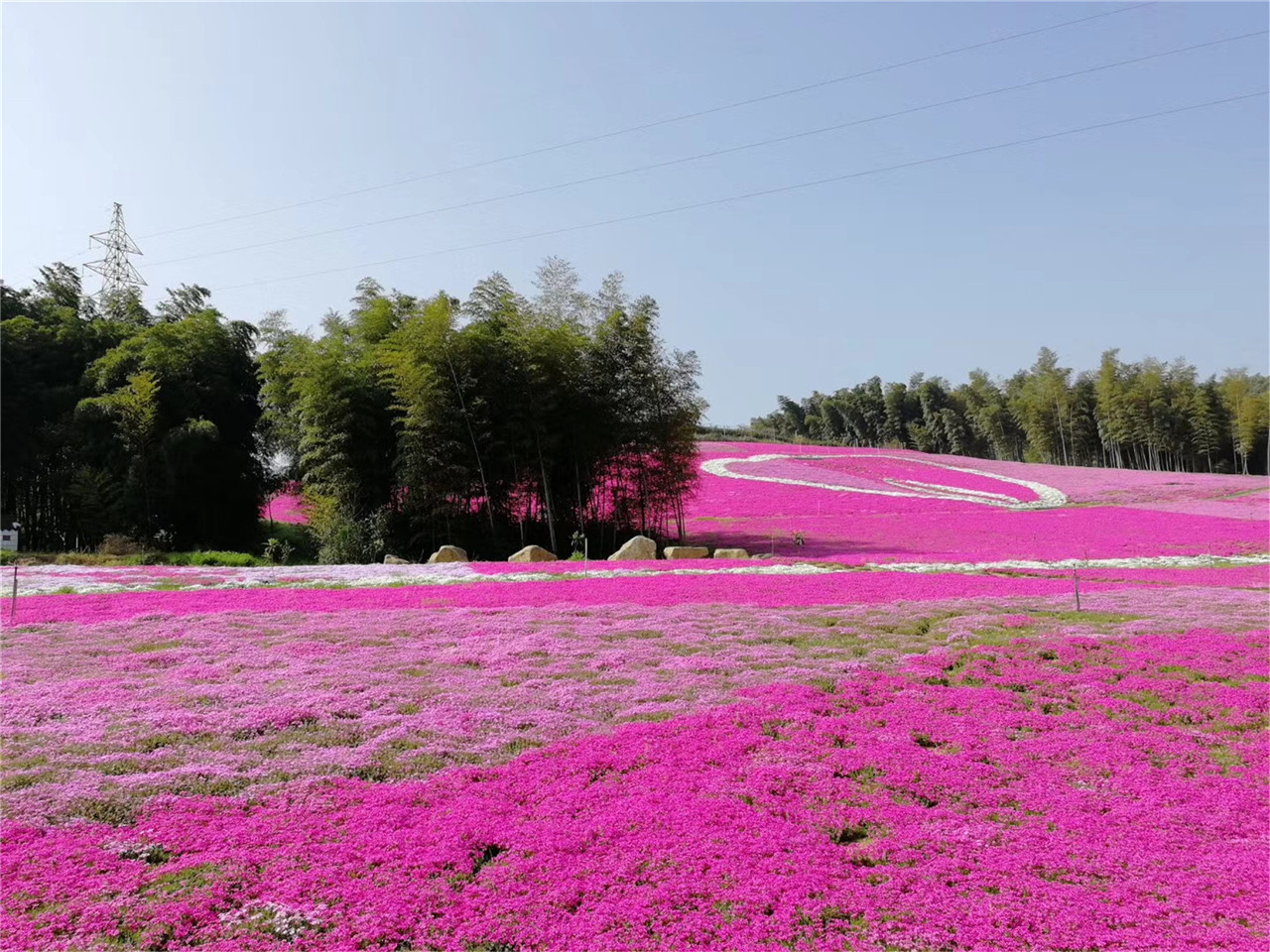 溧阳天目湖龙潭花谷