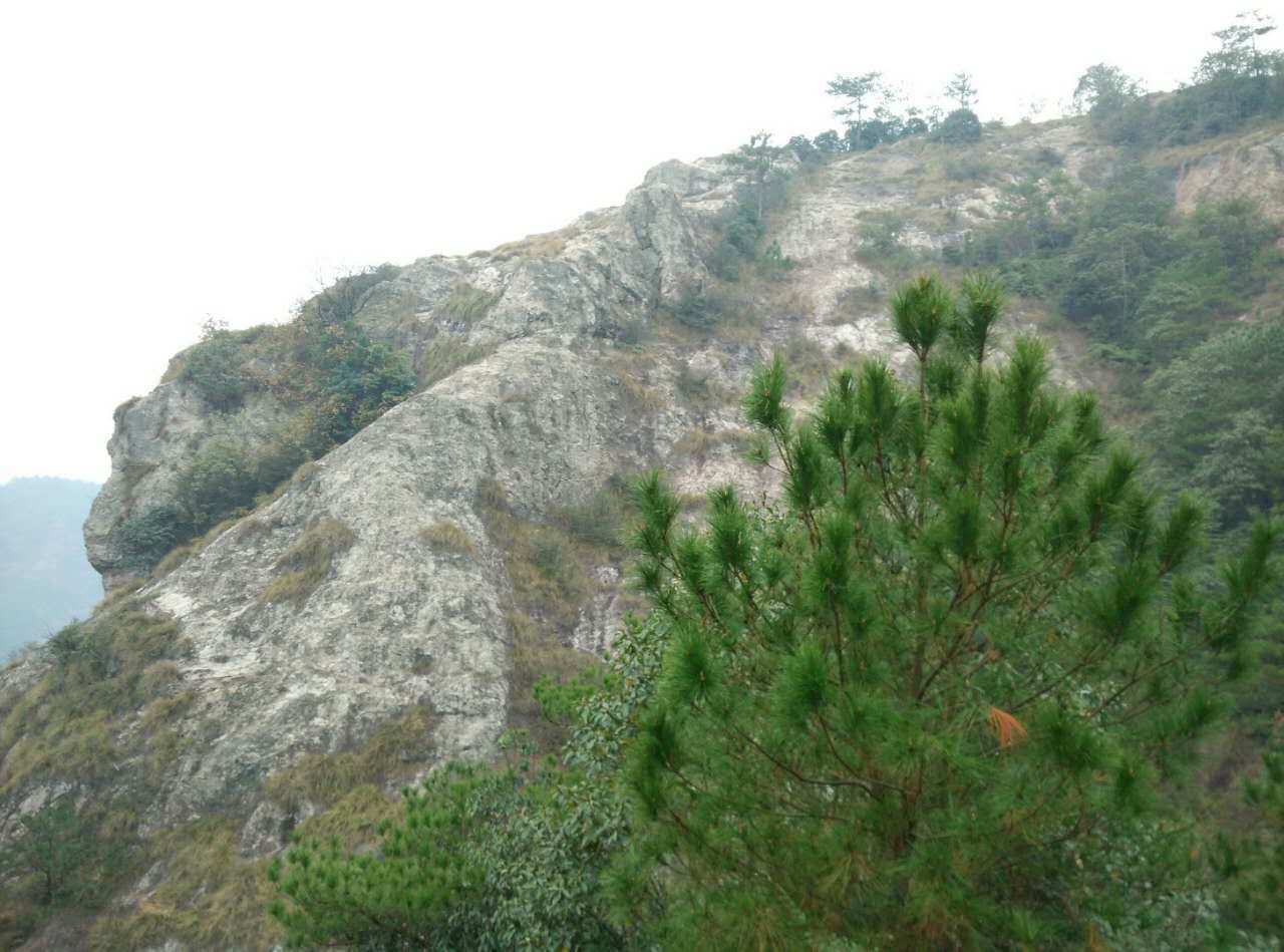 飞龙山风景区特色: 景区内三面环山,一面是湖,可拥抱大自然,十分休闲.