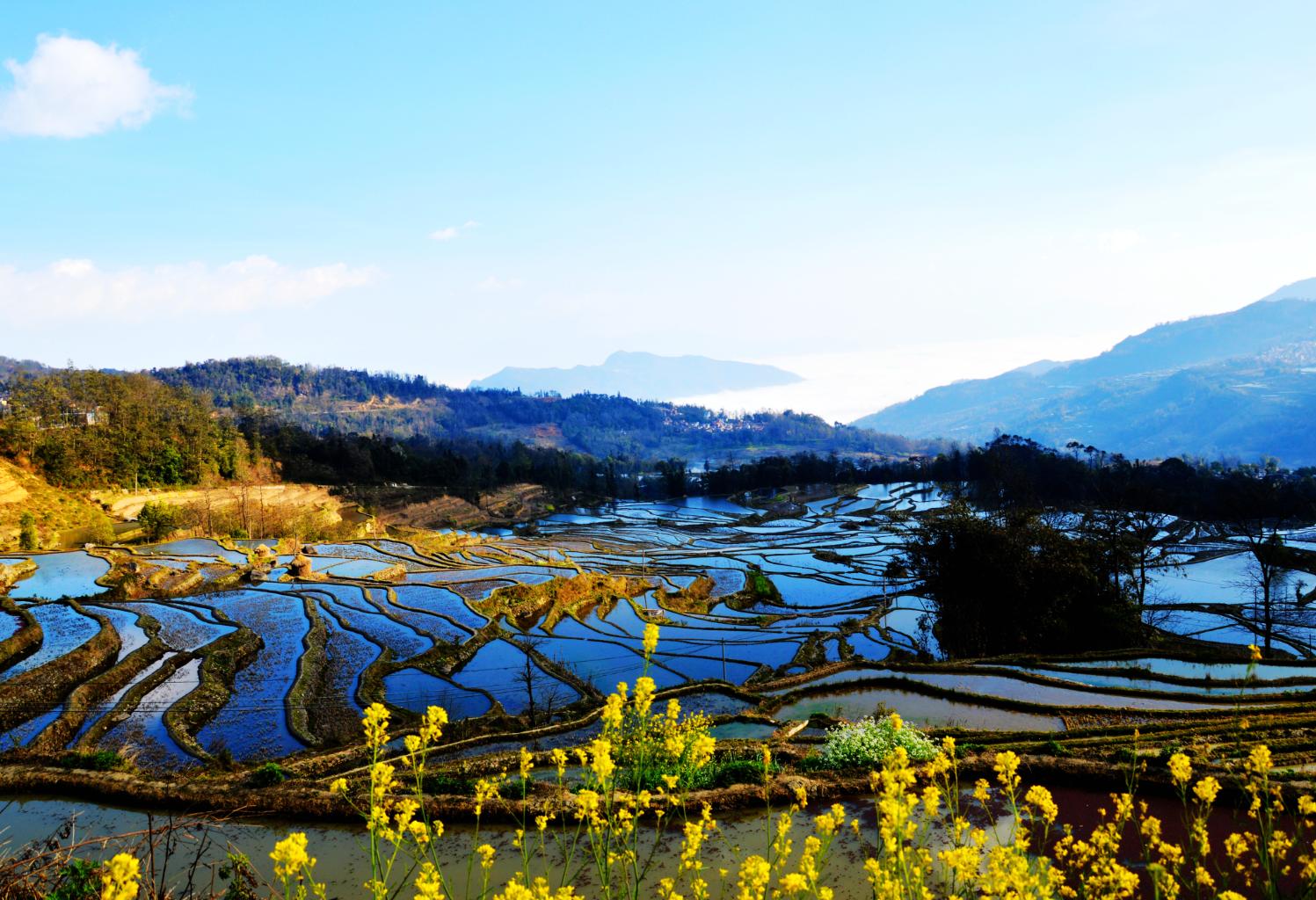 【红河坝达景区天气预报】最新实时一周天气,红河旅游指数/交通指数