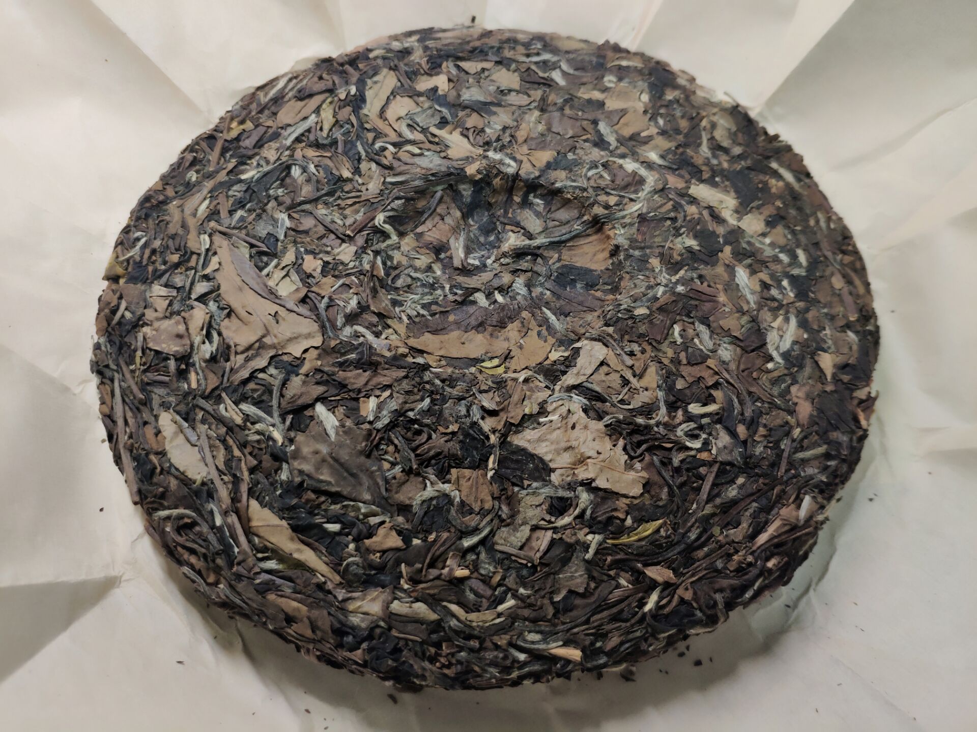 福鼎白茶2017寿眉怎么样好不好真实使用测评