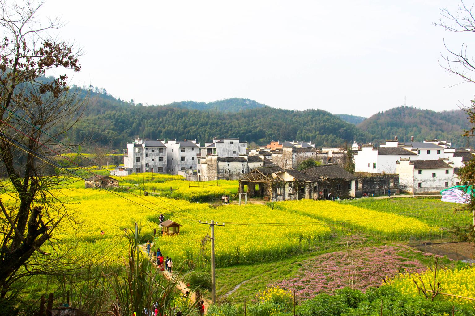 【上饶思溪延村天气预报】最新实时一周天气,上饶旅游指数/交通指数