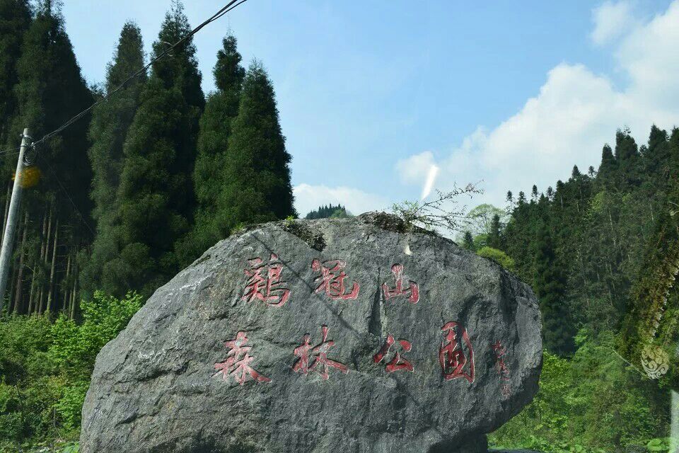 鸡冠山森林公园
