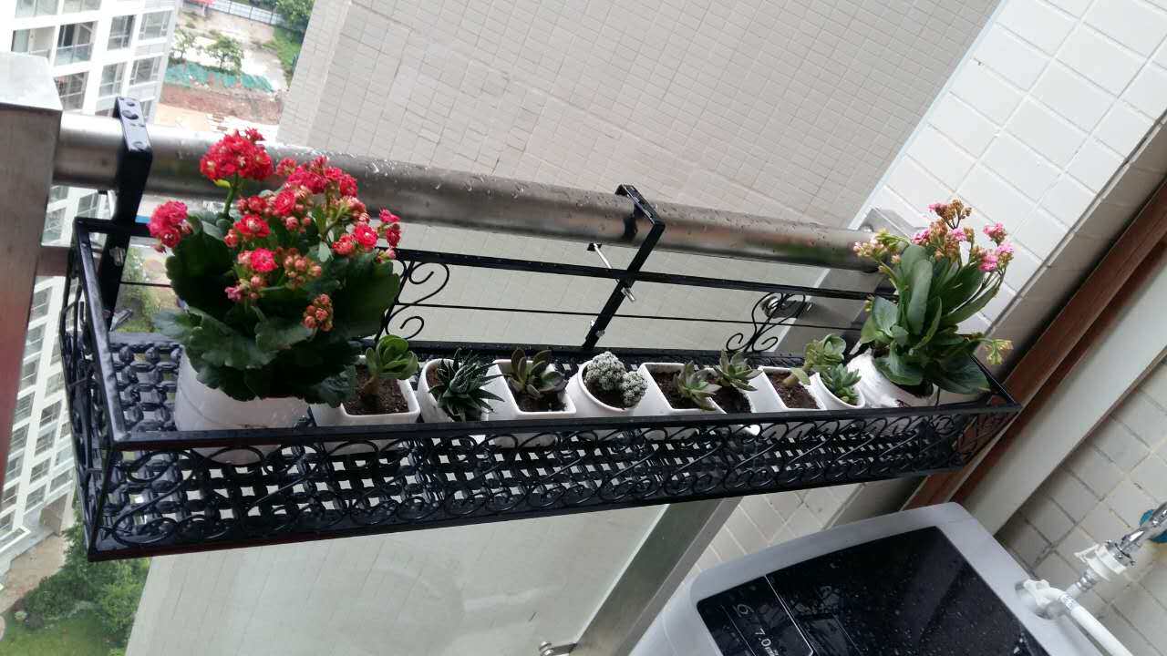 试用了小尺寸的,对于我不大的阳台来说尺寸刚刚好,黑色铁架