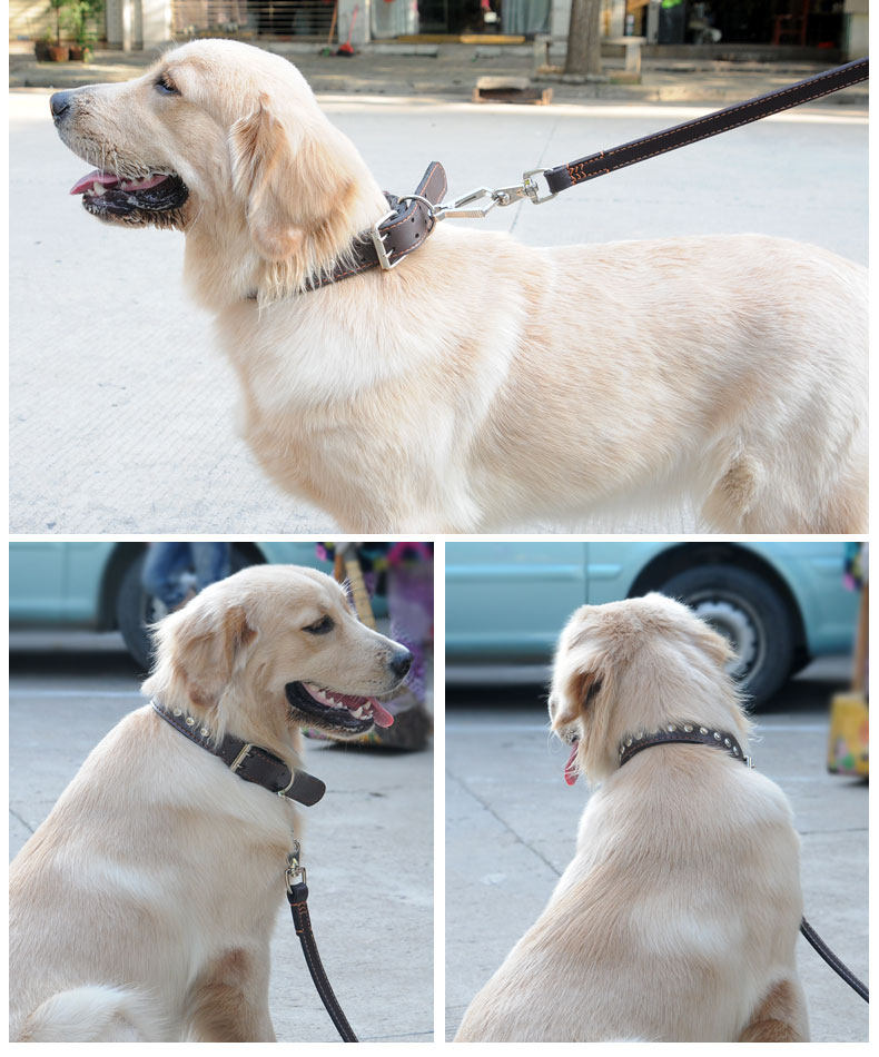 中大型犬项圈铆钉朋克风牛皮狗项圈狗圈宠物脖圈金毛萨摩颈带包邮