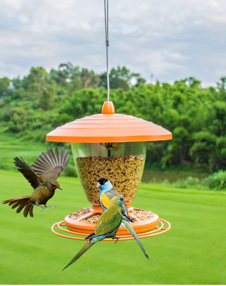 花园喂鸟器鸟类喂食喜鹊鸟饲料食槽 户外学校阳台引鸟器用品包邮